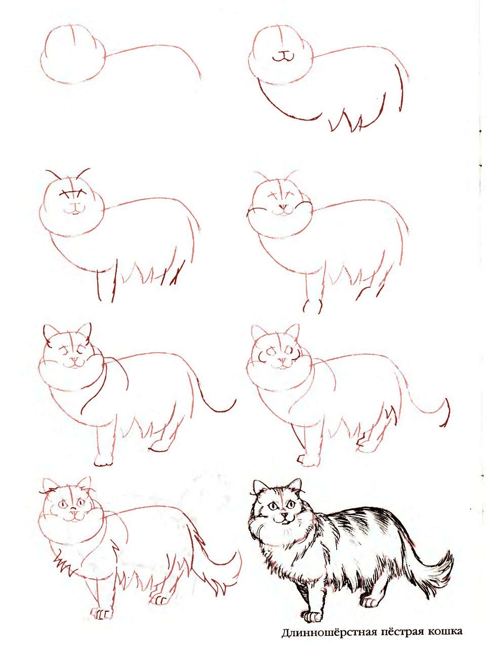 Как нарисовать кота поэтапно для детей. Кошка рисунок. Поэтапное рисование кота. Кошка рисунок карандашом. Рисунок кошки пошагово карандашом.