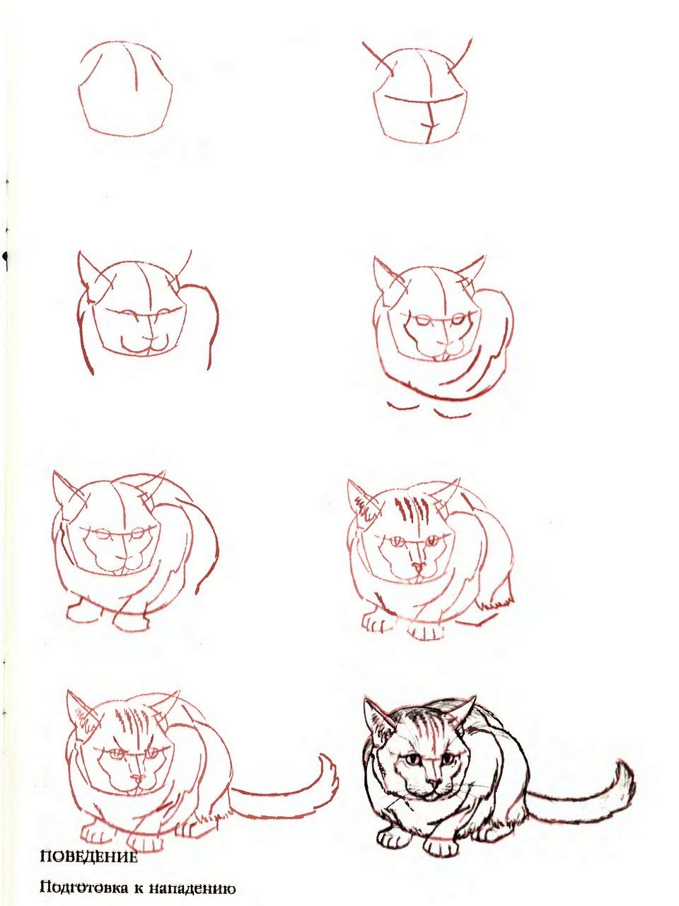 Пошаговое рисовать. Простые рисунки для начинающих. Поэтапное рисование кота. Рисунок карандашом пошагово. Рисунок кота пошагово.