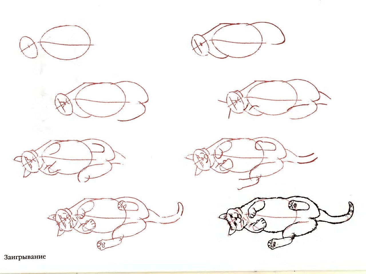 Нарисовать поэтапно кошку в движении поэтапно карандашом